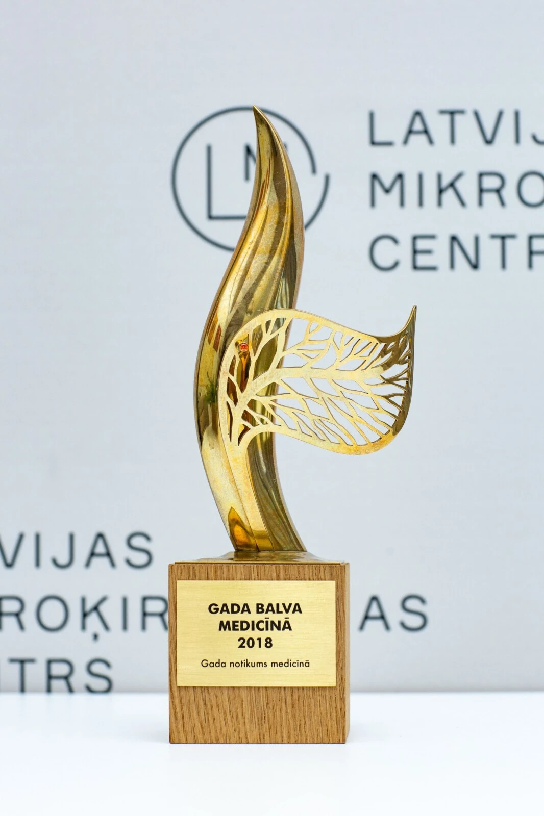Statuete "Gada balva medicīnā 2018, nominācijā Gada notikums medicīnā"